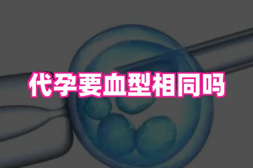 国际助孕网站 4